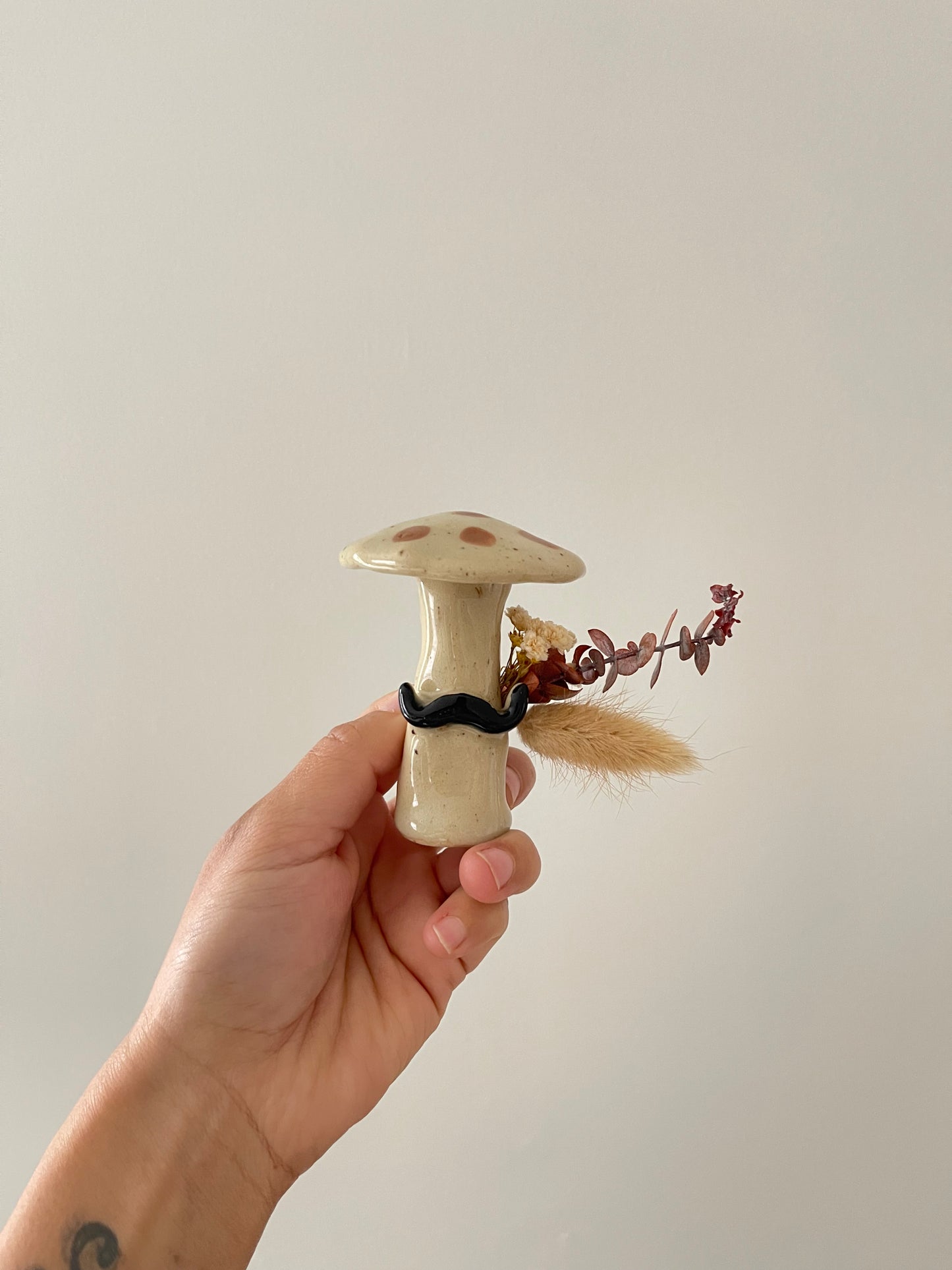 Moustache Mushrooms